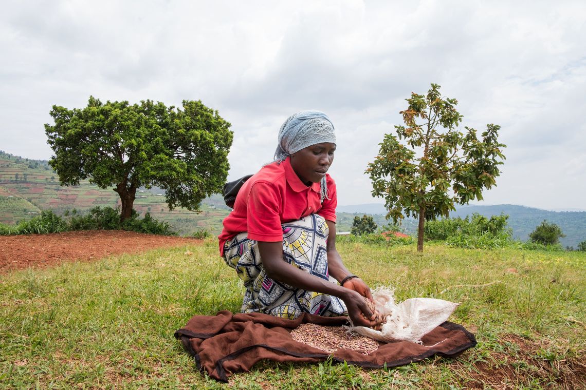 Afrikanische Frau kniet und hält Bohnen in ihren Händen