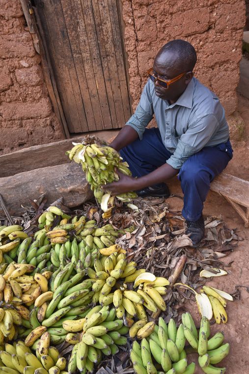 Afrikanischer Mann mit Bananenstauden